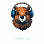 Partybiber IT-Solutions